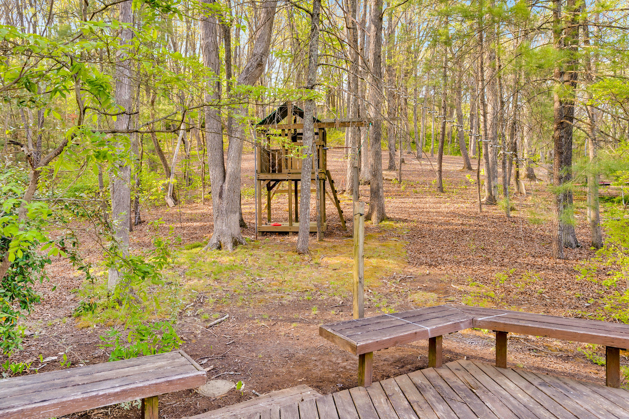 408 Fort Trace Road Lookout Mountain, GA 30750 - Photo 58 of 68 Backyard