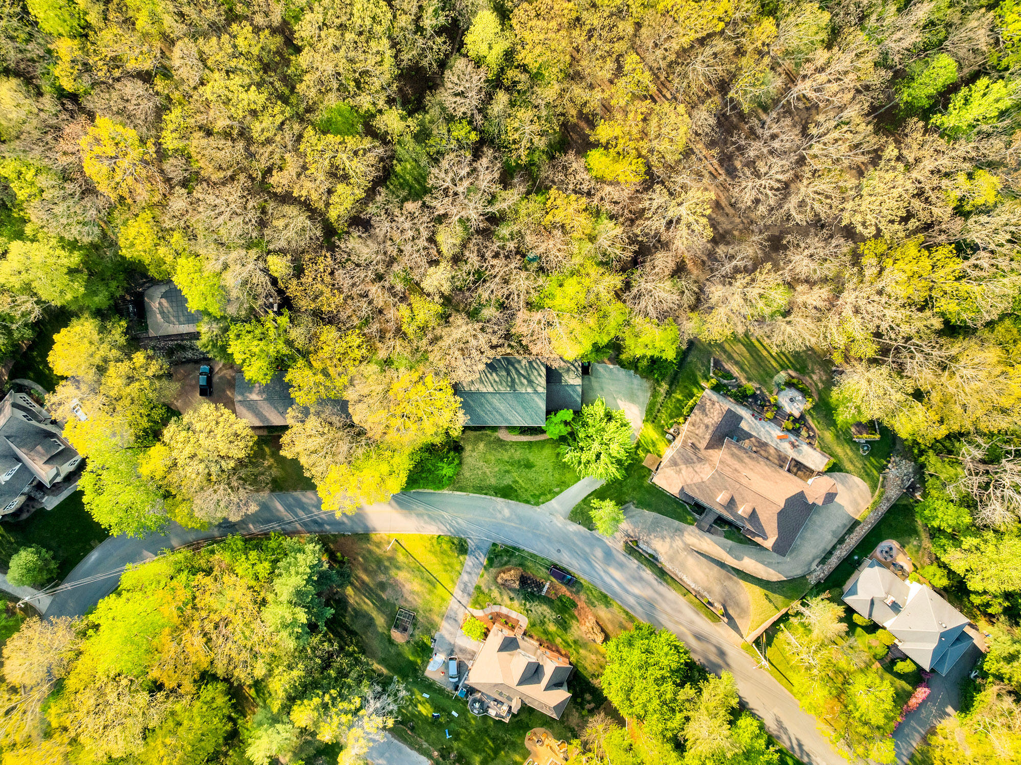 408 Fort Trace Road Lookout Mountain, GA 30750 - Photo 63 of 68 Aerial