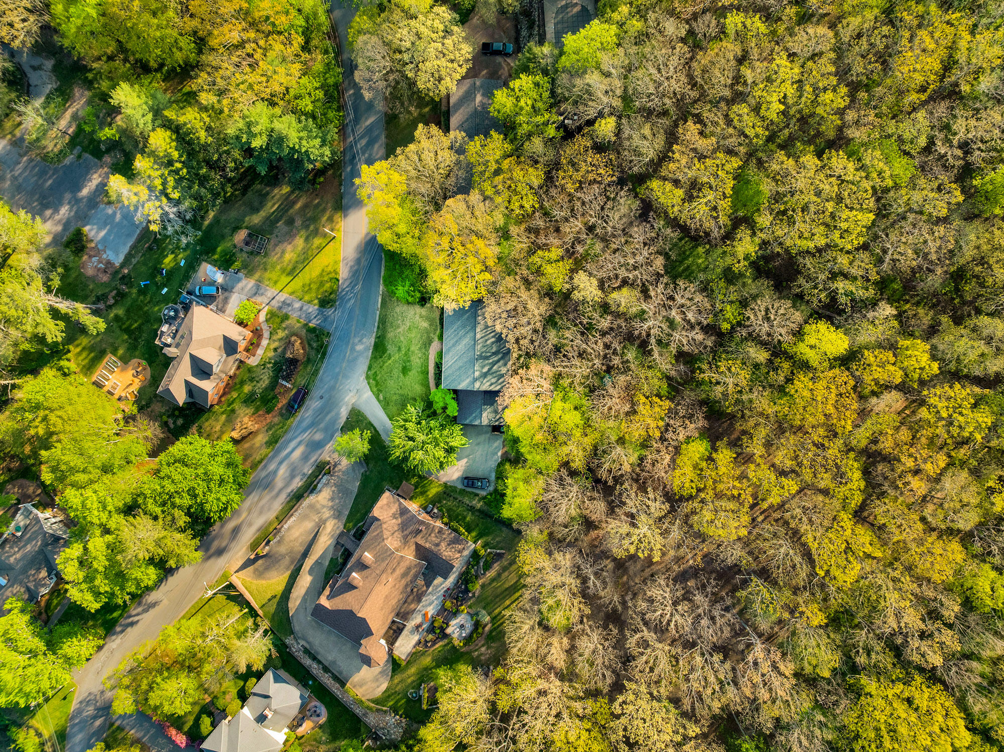 408 Fort Trace Road Lookout Mountain, GA 30750 - Photo 64 of 68 Aerial