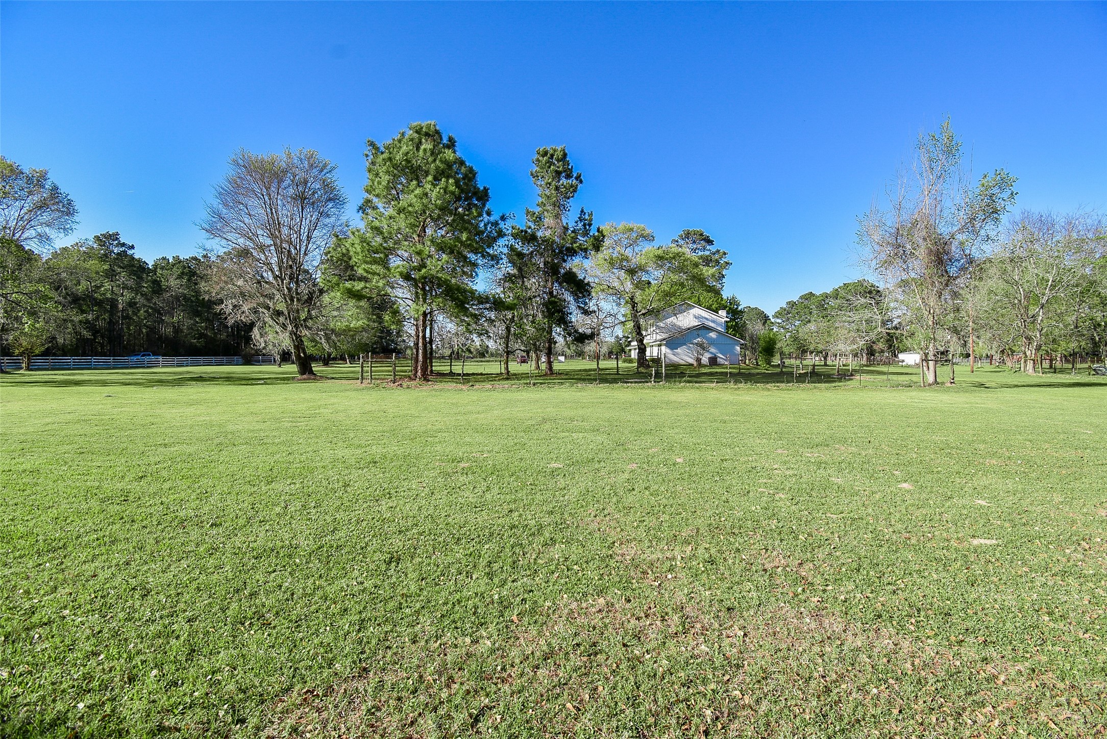 24640 Macedonia Road Hockley, TX 77447 - Photo 35 of 46
