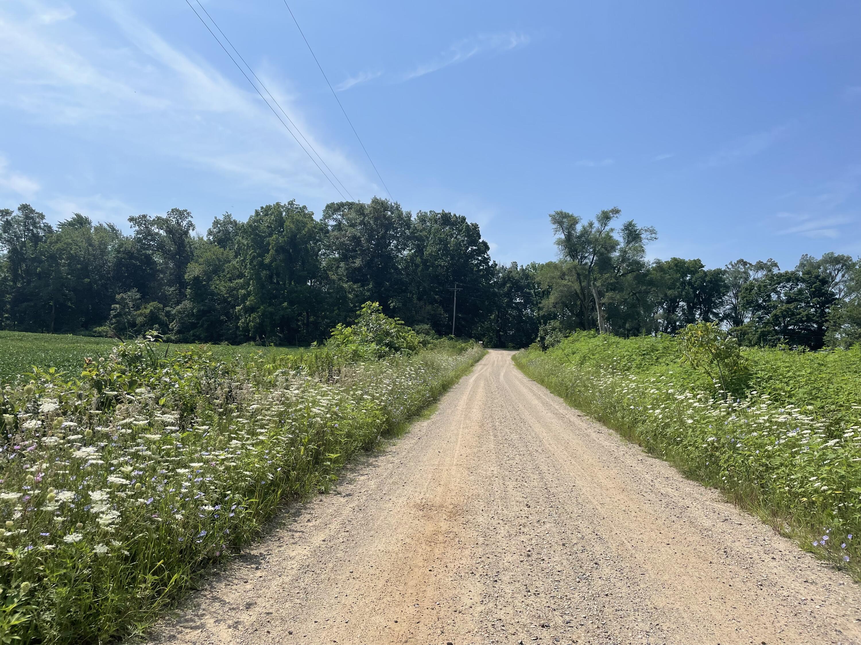 601 Lane Road Coldwater, MI 49036 - Photo 38 of 54 2F18B611-69A4-4CA3-9FC4-41E49C8798A8