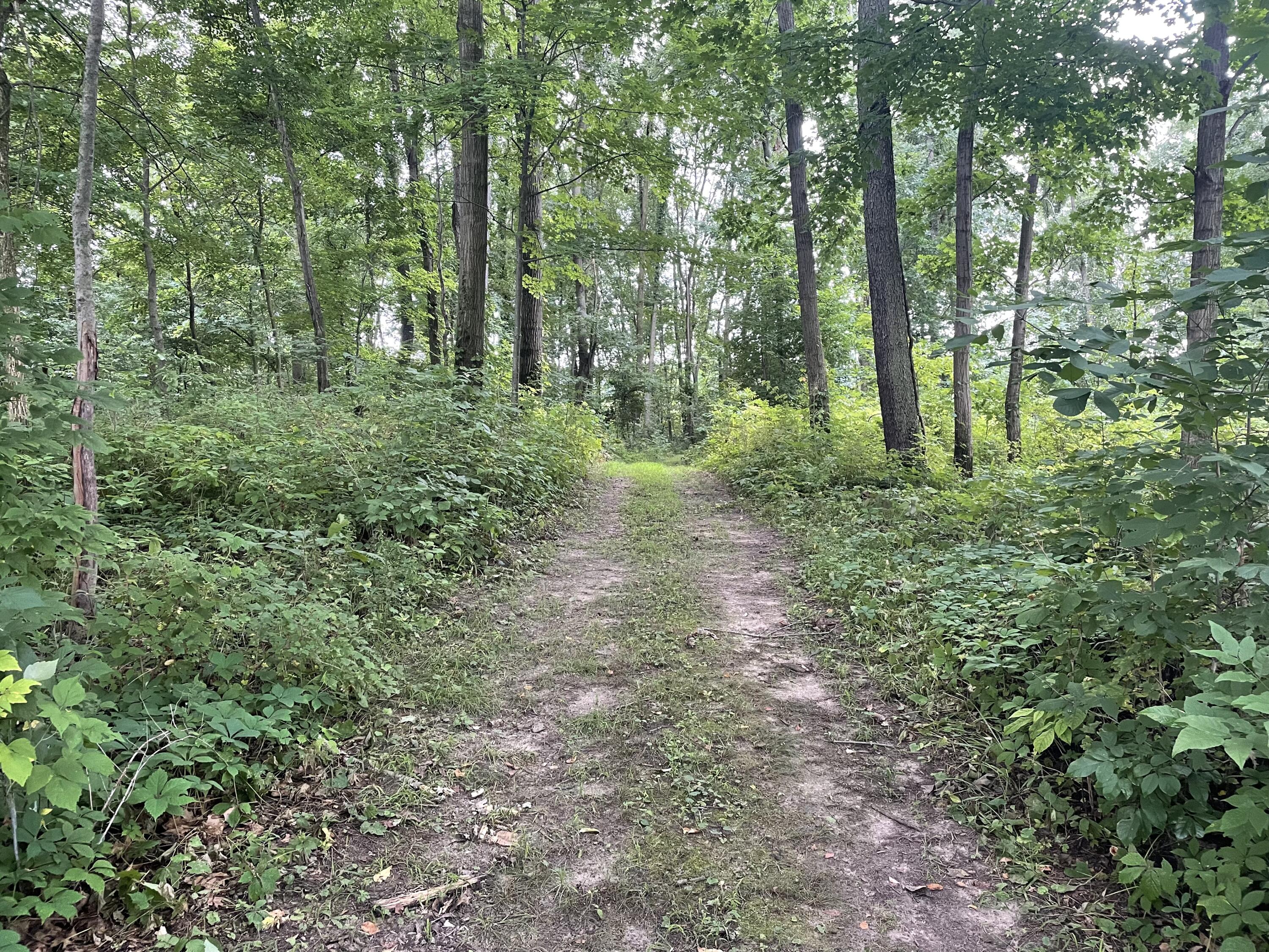 601 Lane Road Coldwater, MI 49036 - Photo 40 of 54 C8EDA06E-7D00-4B99-895E-715D9C500063