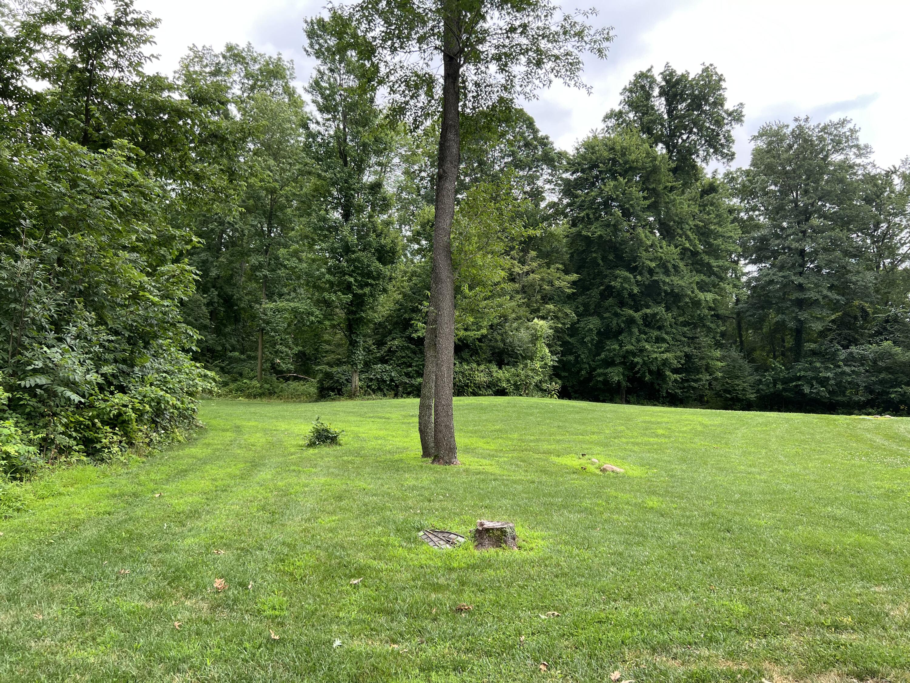 601 Lane Road Coldwater, MI 49036 - Photo 47 of 54 760A29F4-383D-4395-A1B4-2ACD1718727B