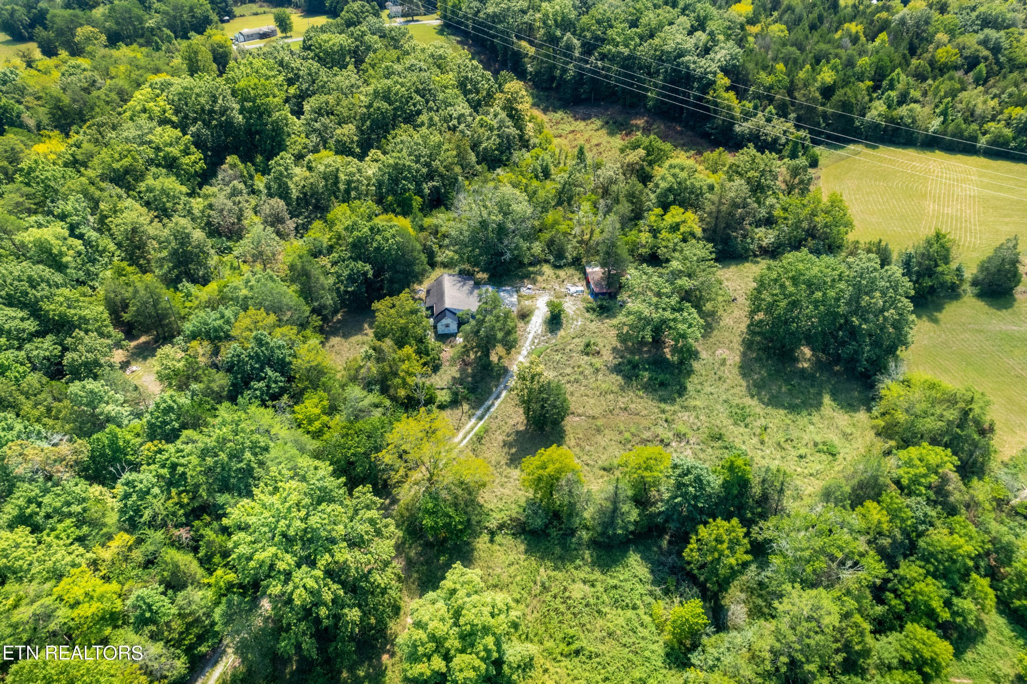 7911 Dan McBee Road Corryton, TN 37721 - Photo 8 of 22 Gallery Image 8