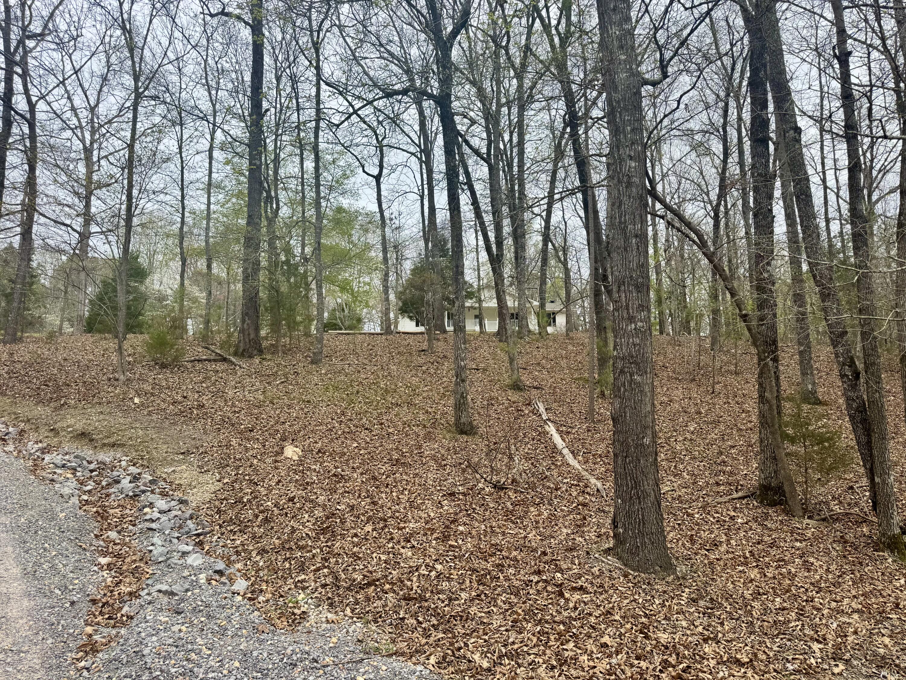 1801 Colbert Hollow Road Rock Spring, GA 30739 - Photo 35 of 39 street view