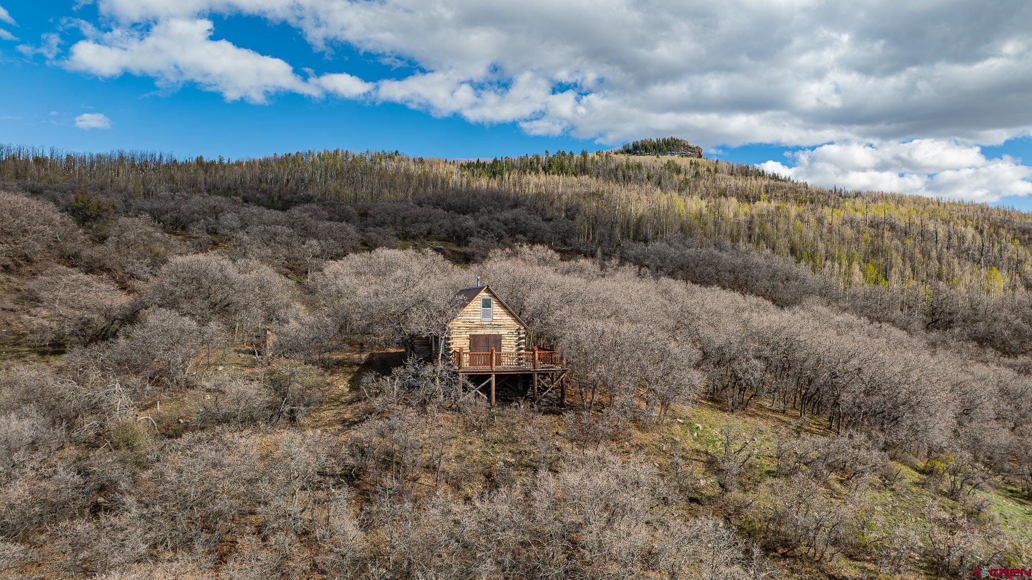 83880 Elk Rdg Trail Crawford, CO 81415 - Photo 2 of 26