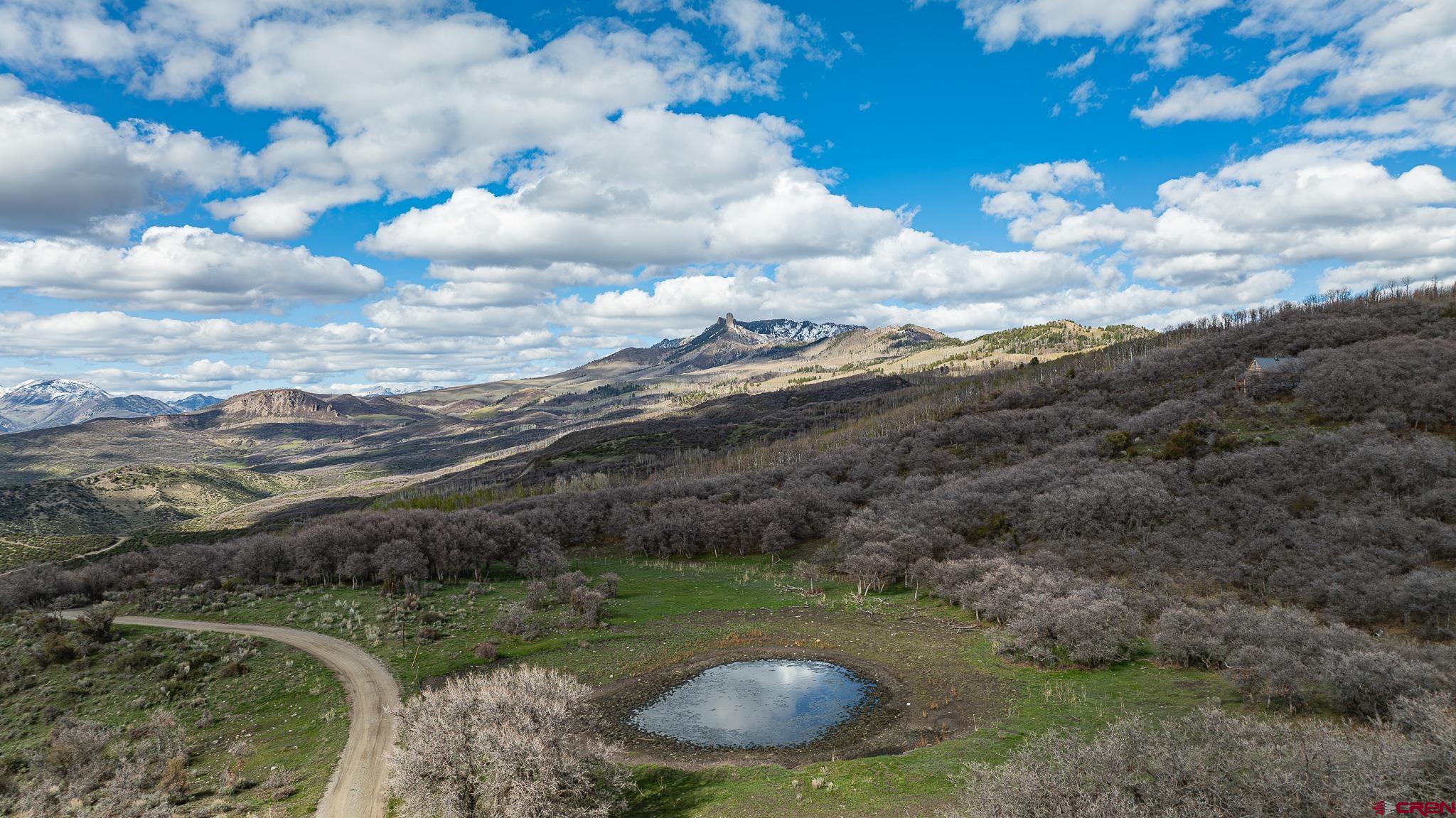 83880 Elk Rdg Trail Crawford, CO 81415 - Photo 6 of 26