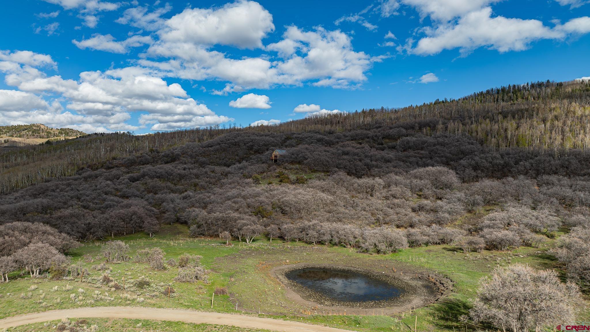83880 Elk Rdg Trail Crawford, CO 81415 - Photo 8 of 26
