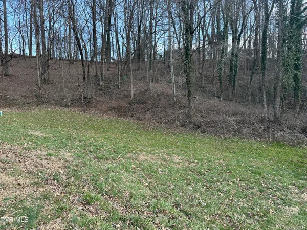 $24,000 | 126 Maple Crest, Unit 22, Greeneville, TN 37743