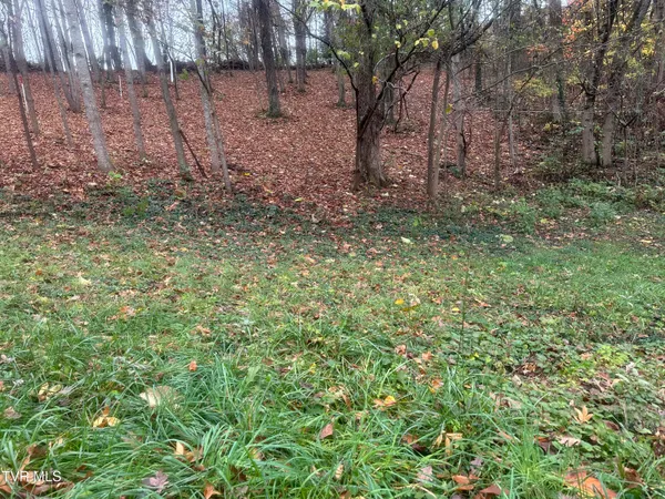 $24,000 | 126 Maple Crest, Unit 22, Greeneville, TN 37743