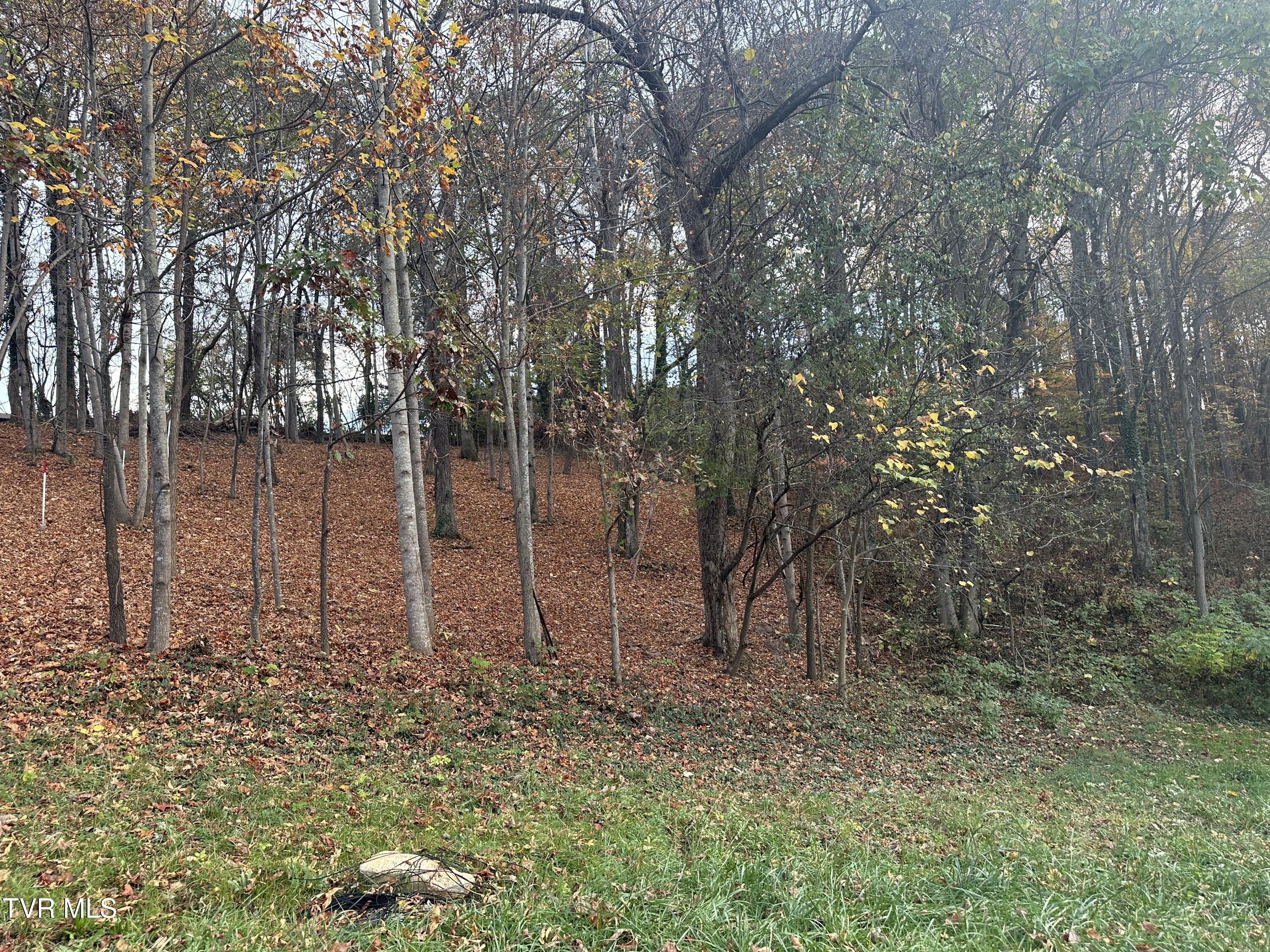 126 Maple Crest, Unit 22 Greeneville, TN 37743 - Photo 3 of 8 IMG_3373