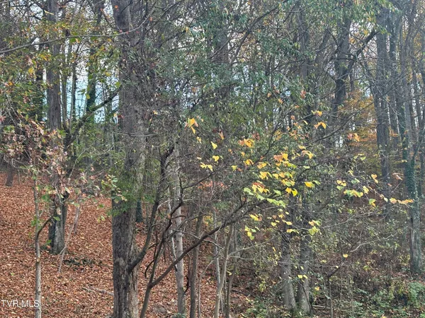 $24,000 | 126 Maple Crest, Unit 22, Greeneville, TN 37743