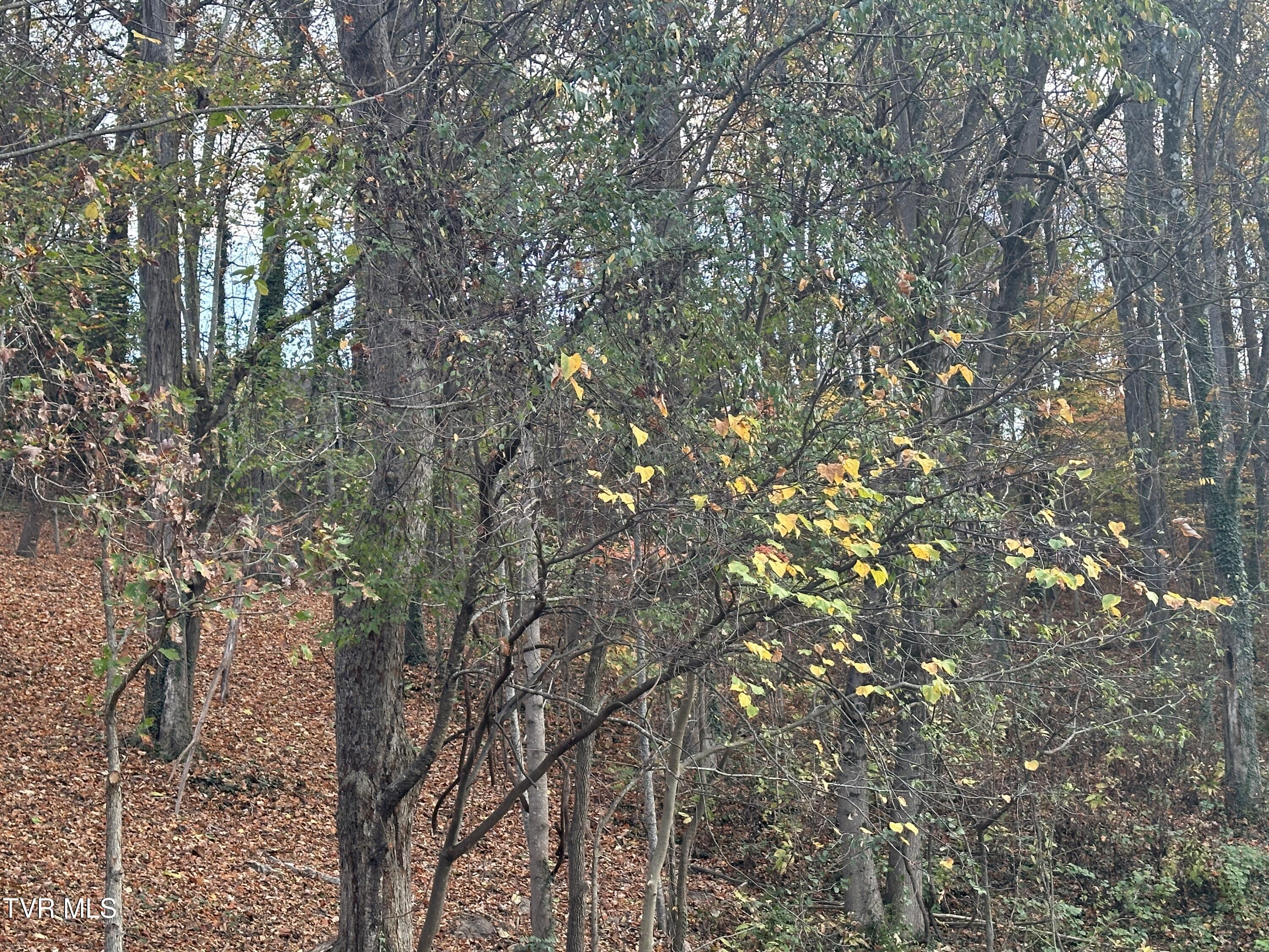 126 Maple Crest, Unit 22 Greeneville, TN 37743 - Photo 4 of 8 IMG_3375