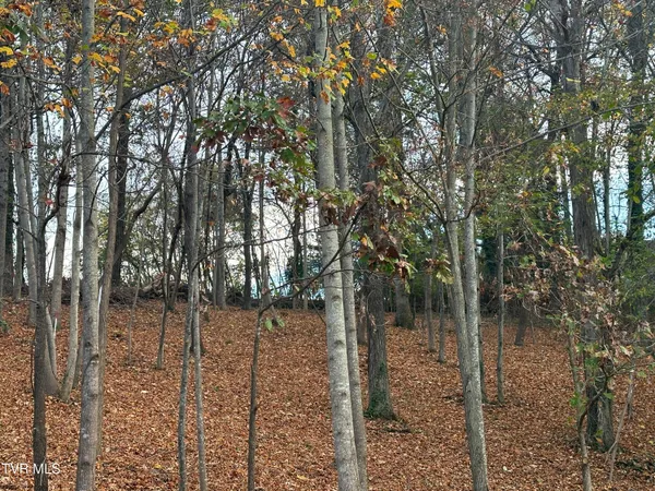 $24,000 | 126 Maple Crest, Unit 22, Greeneville, TN 37743