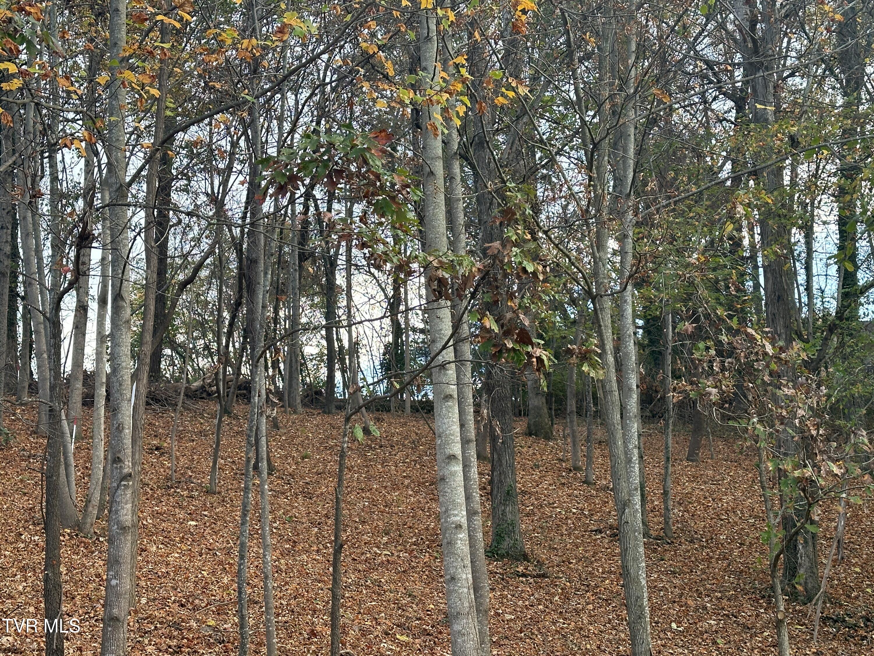 126 Maple Crest, Unit 22 Greeneville, TN 37743 - Photo 5 of 8 IMG_3374