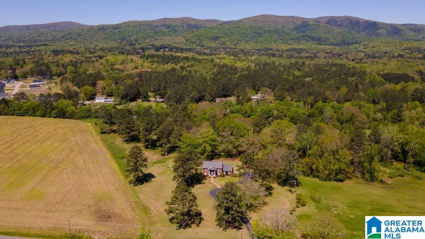 1565 Old Choccolocco Road Anniston, AL 36207 - Photo 59 of 66