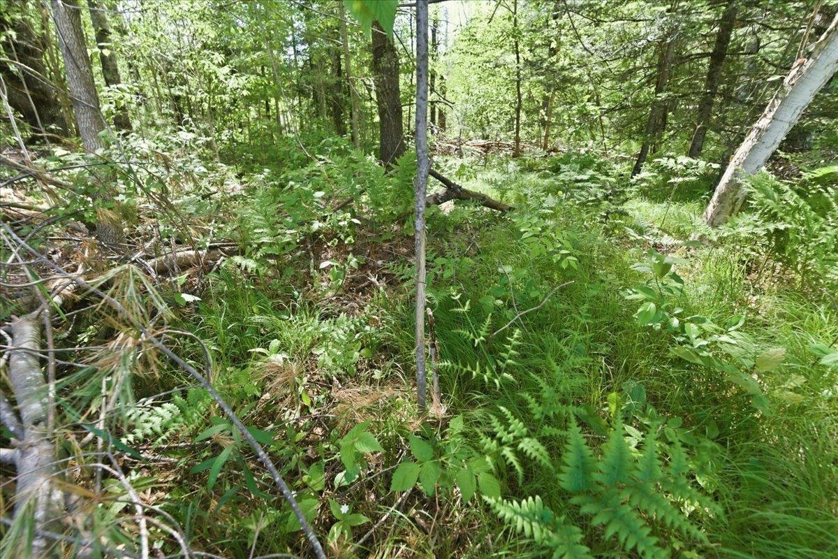 14754 North McComb Lake Road Mountain, WI 54149 - Photo 71 of 82