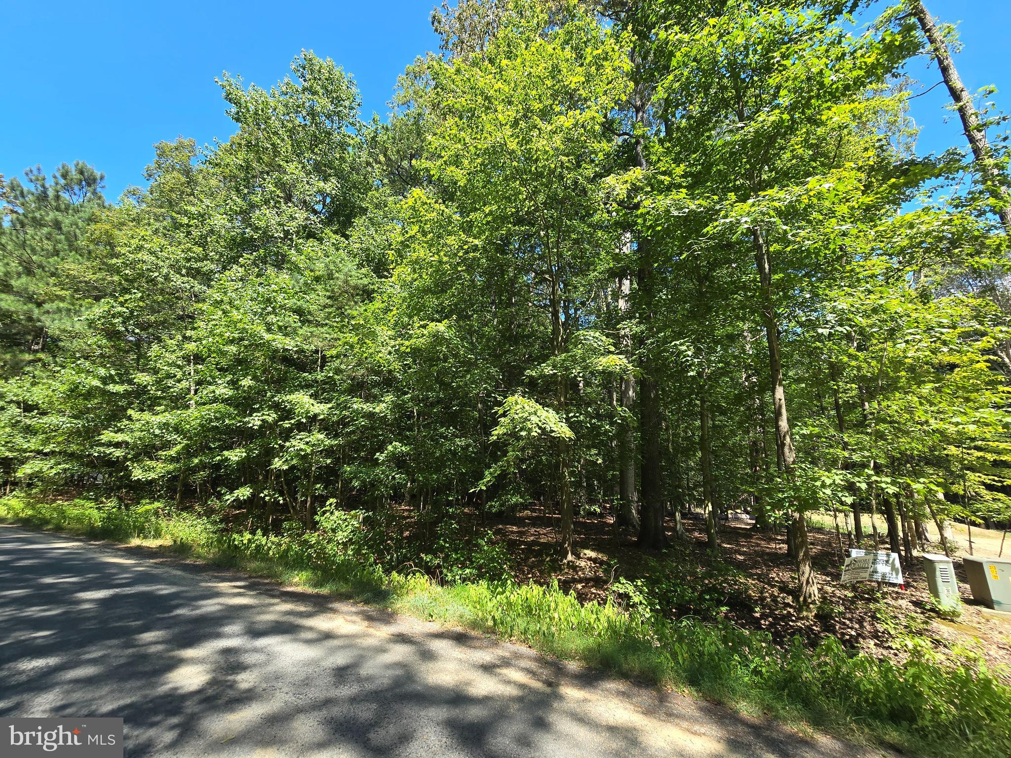 Beautiful Wooded Lot!