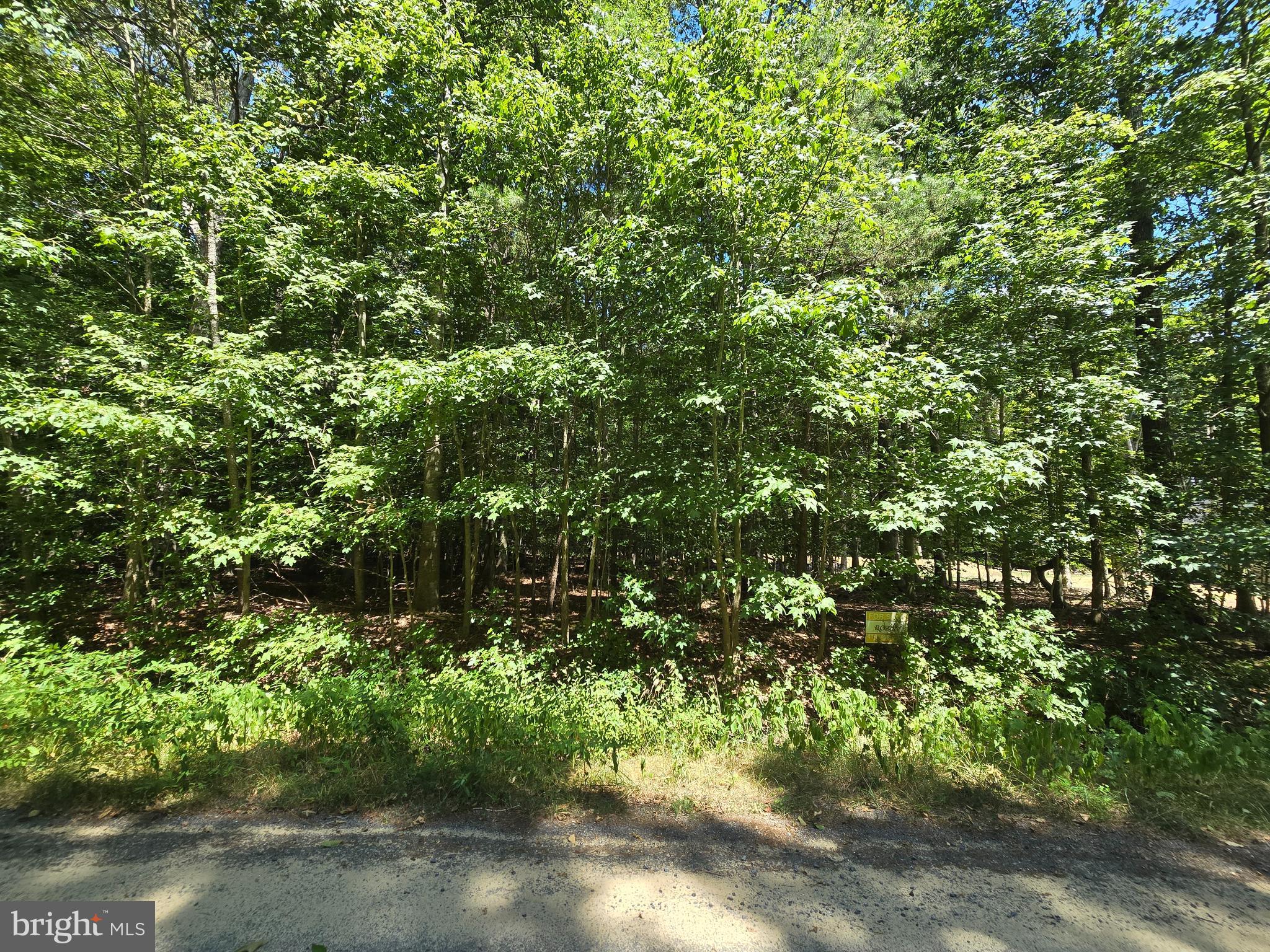 Laurel Lane Denton, MD 21629 - Photo 3 of 6