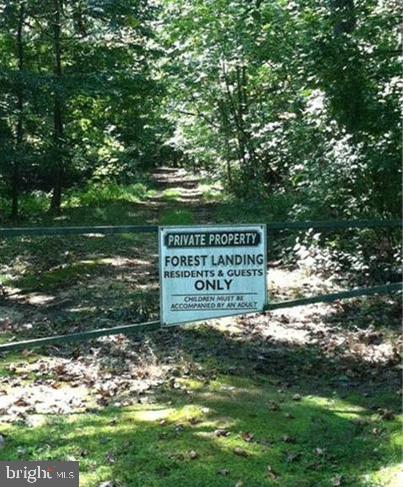 Laurel Lane Denton, MD 21629 - Photo 4 of 6