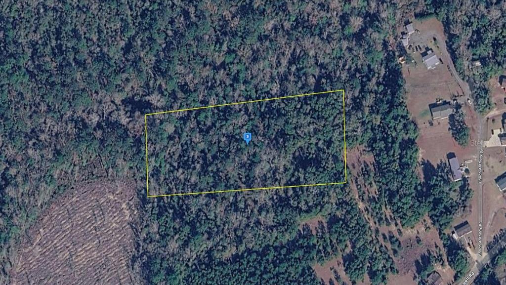 521 San Carswell Road Quincy, FL 32352 - Photo 1 of 5 a view of a dry yard