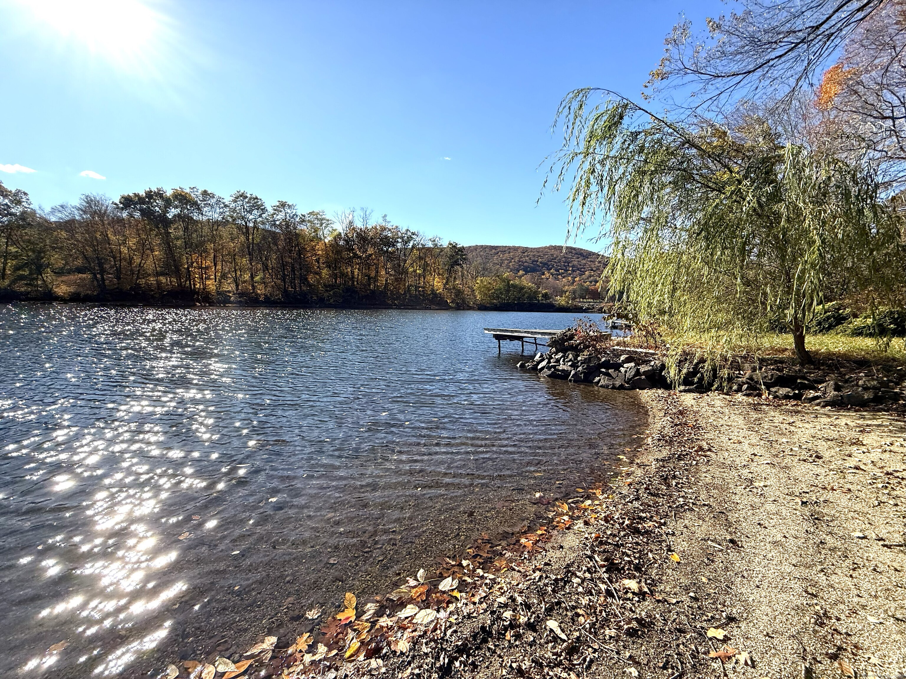11 Bogus Hill Road New Fairfield, CT 06812 - Photo 11 of 13 a view of a yard with an outdoor space