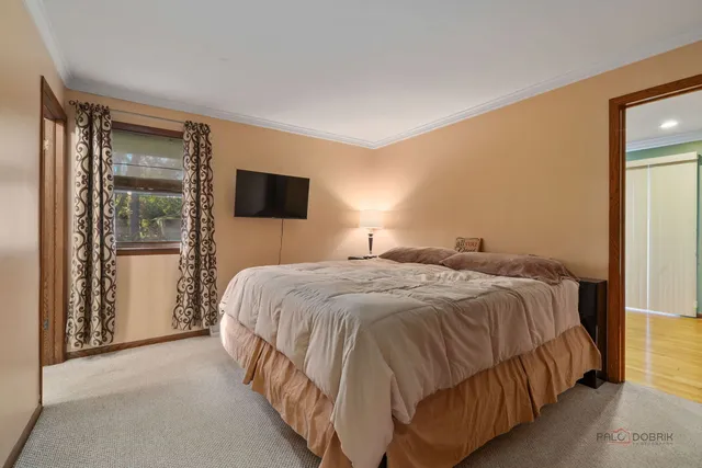 a view of a park with large trees