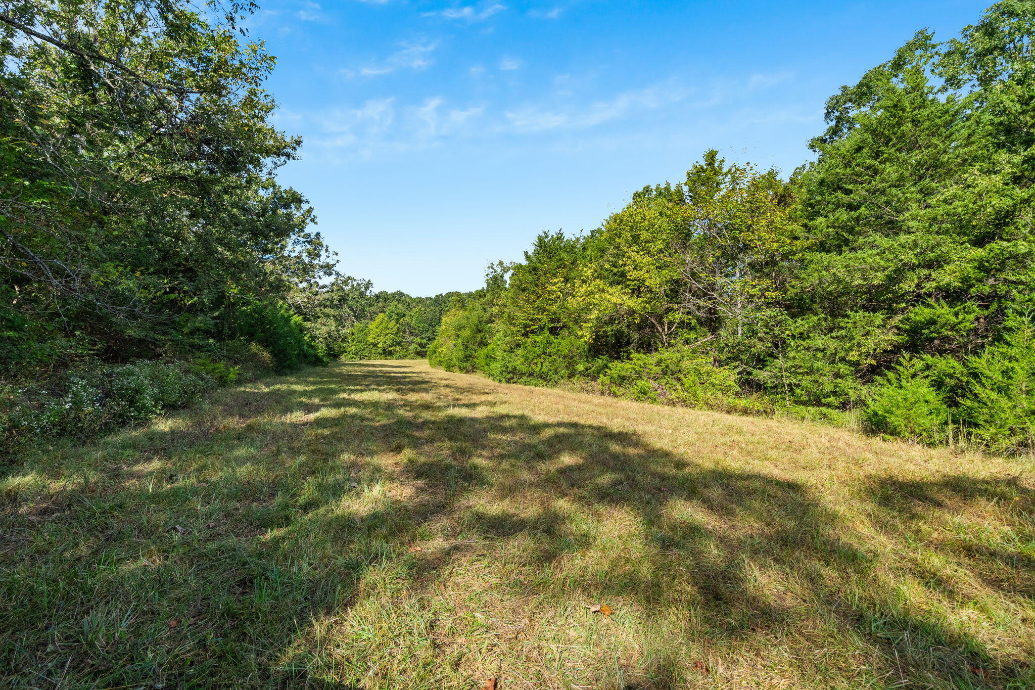 0 Bobcat Road Fordland, MO 65652 - Photo 19 of 24 000 Bobcat Rd