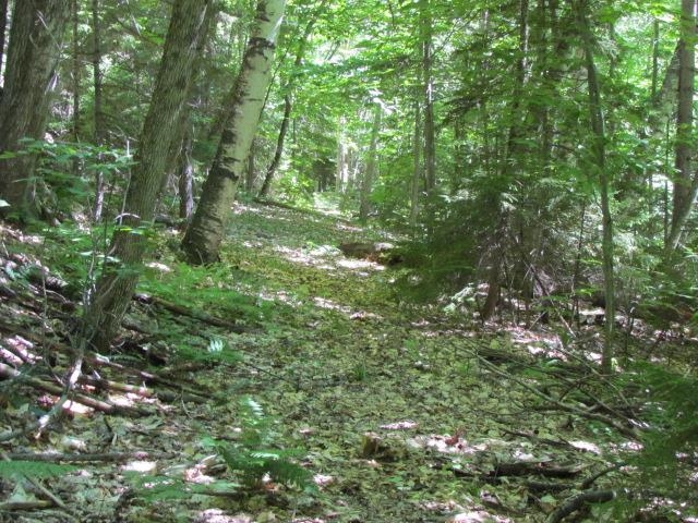 1050 Tucker Brook Road Hancock, VT 05748 - Photo 8 of 35