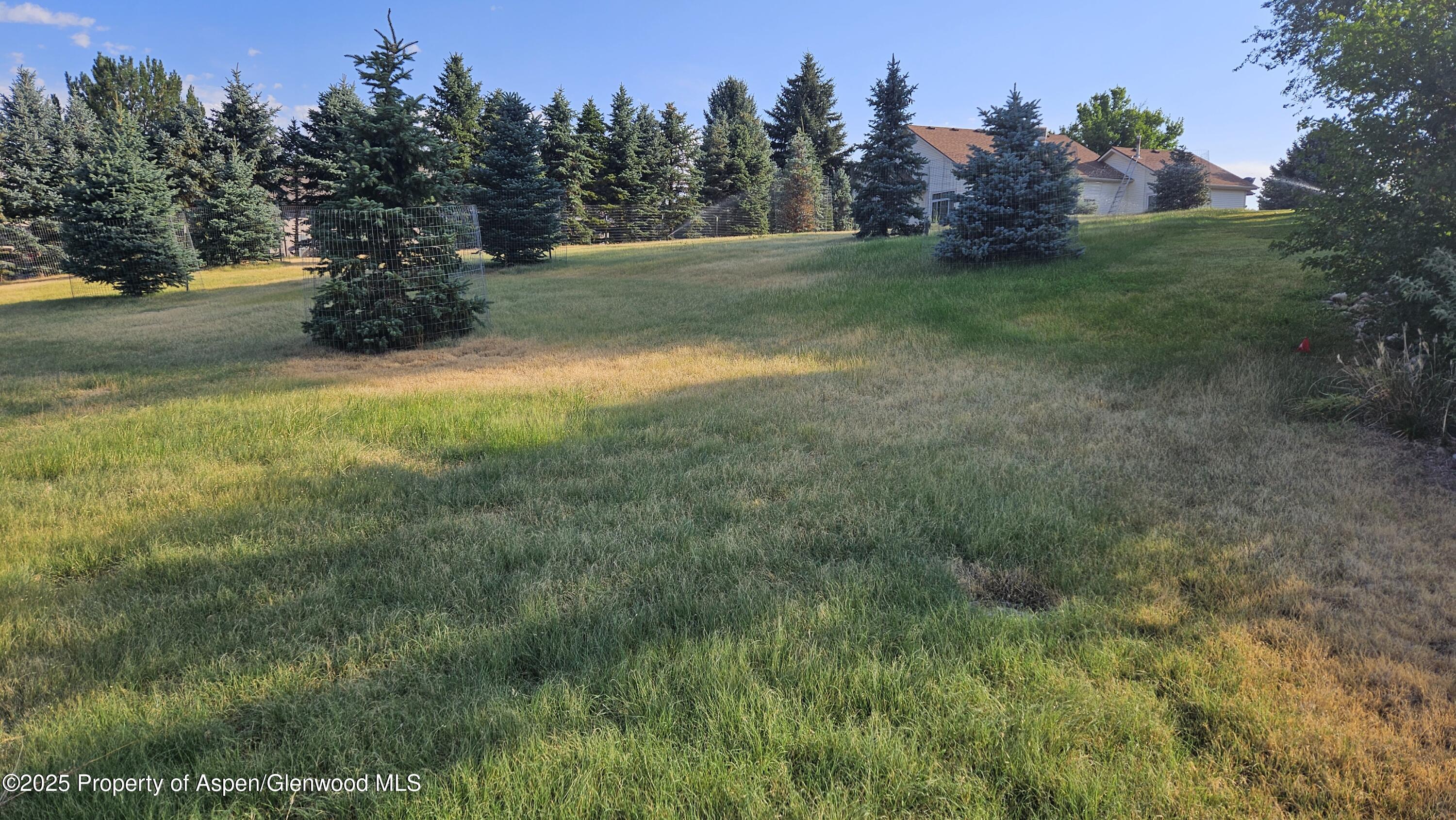 489 Lodge Pole Circle Parachute, CO 81635 - Photo 3 of 4 a view of a field with trees in the background