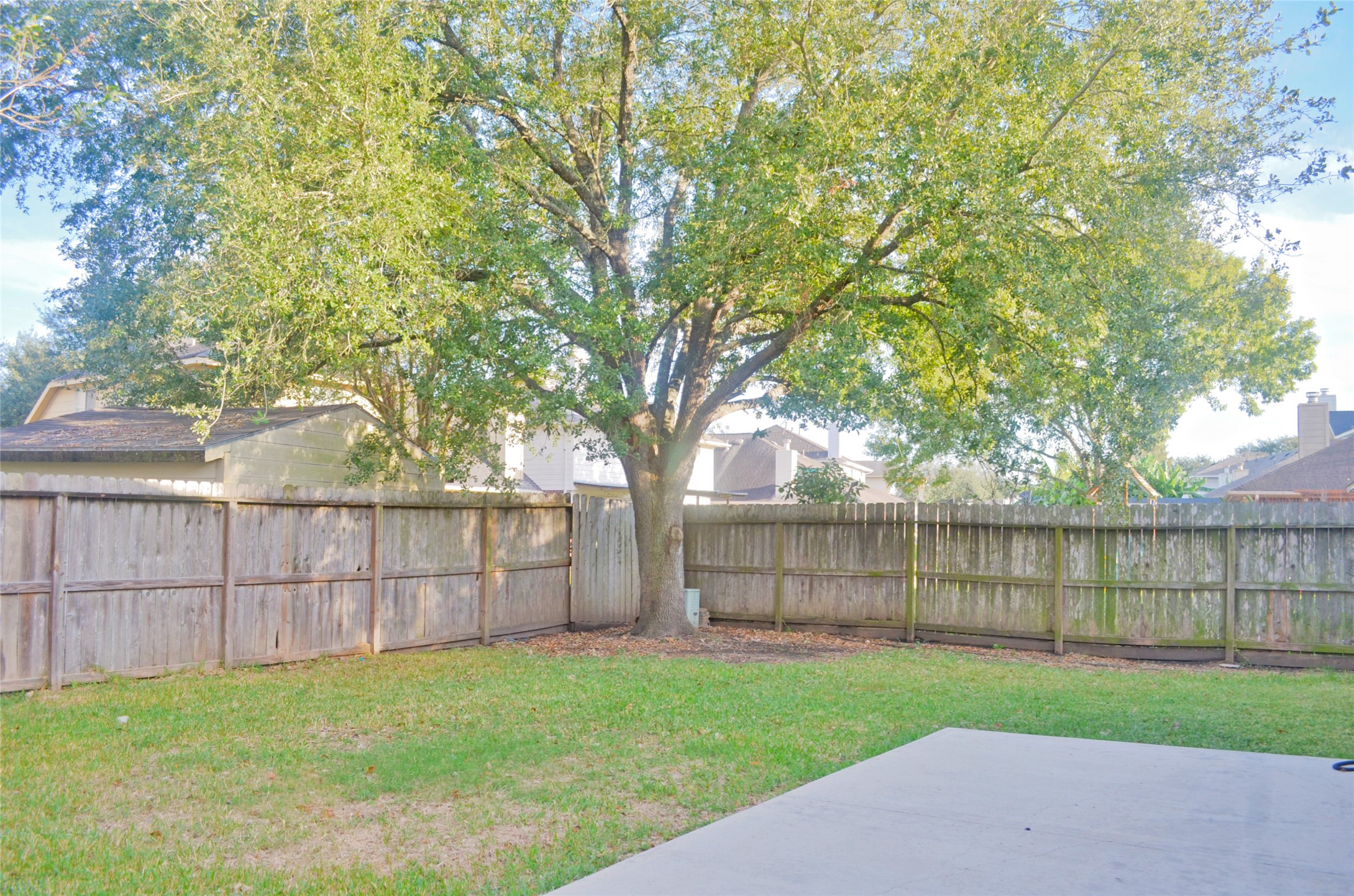 16915 Lighthouse View Drive Friendswood, TX 77546 - Photo 36 of 44 a view of a backyard with a large tree and wooden fence