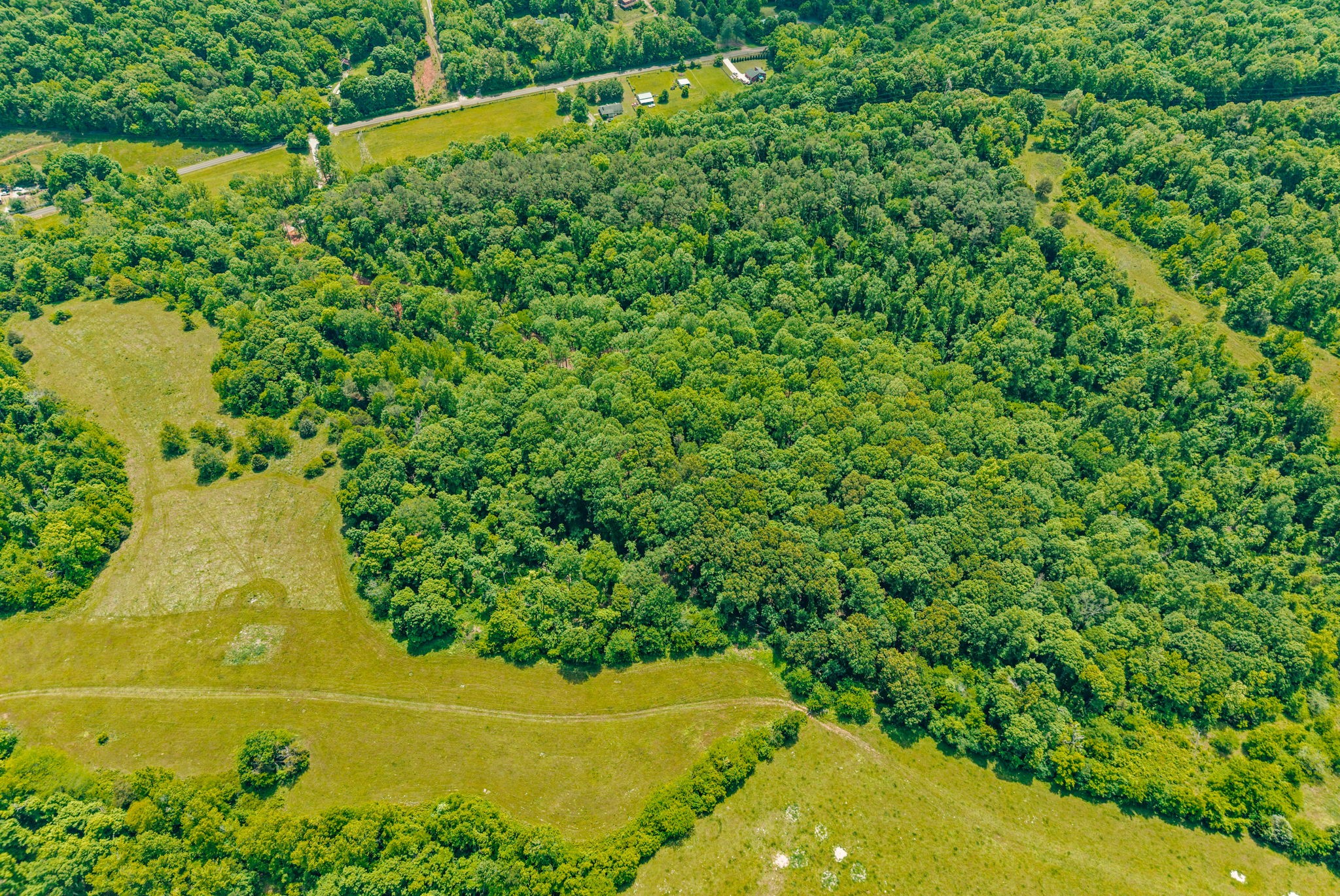 1 Budds Creek Road Palmyra, TN 37142 - Photo 62 of 76 a view of a yard with a tree