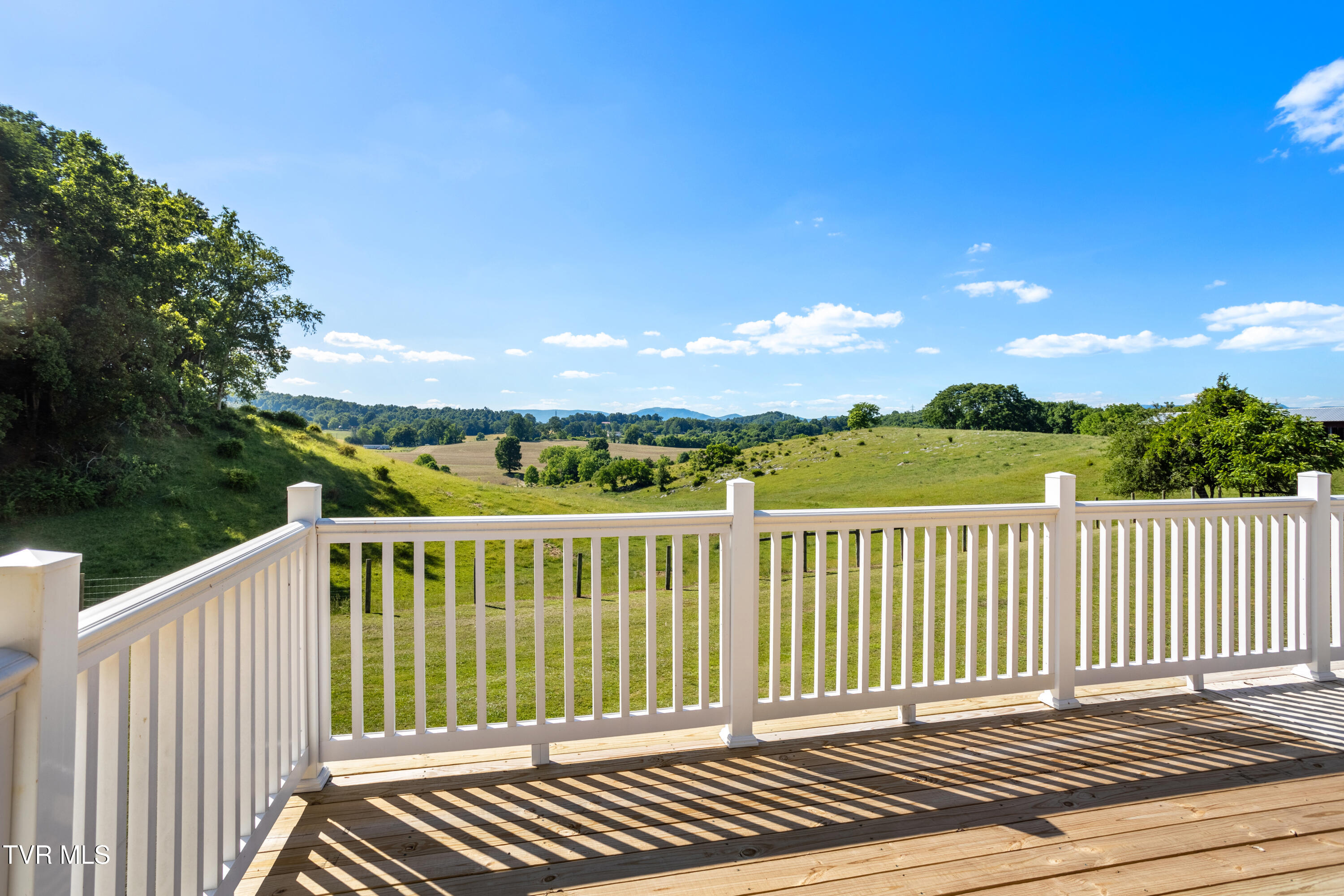 27363 Fudge Road Meadowview, VA 24361 - Photo 24 of 83 177A4380-HDR