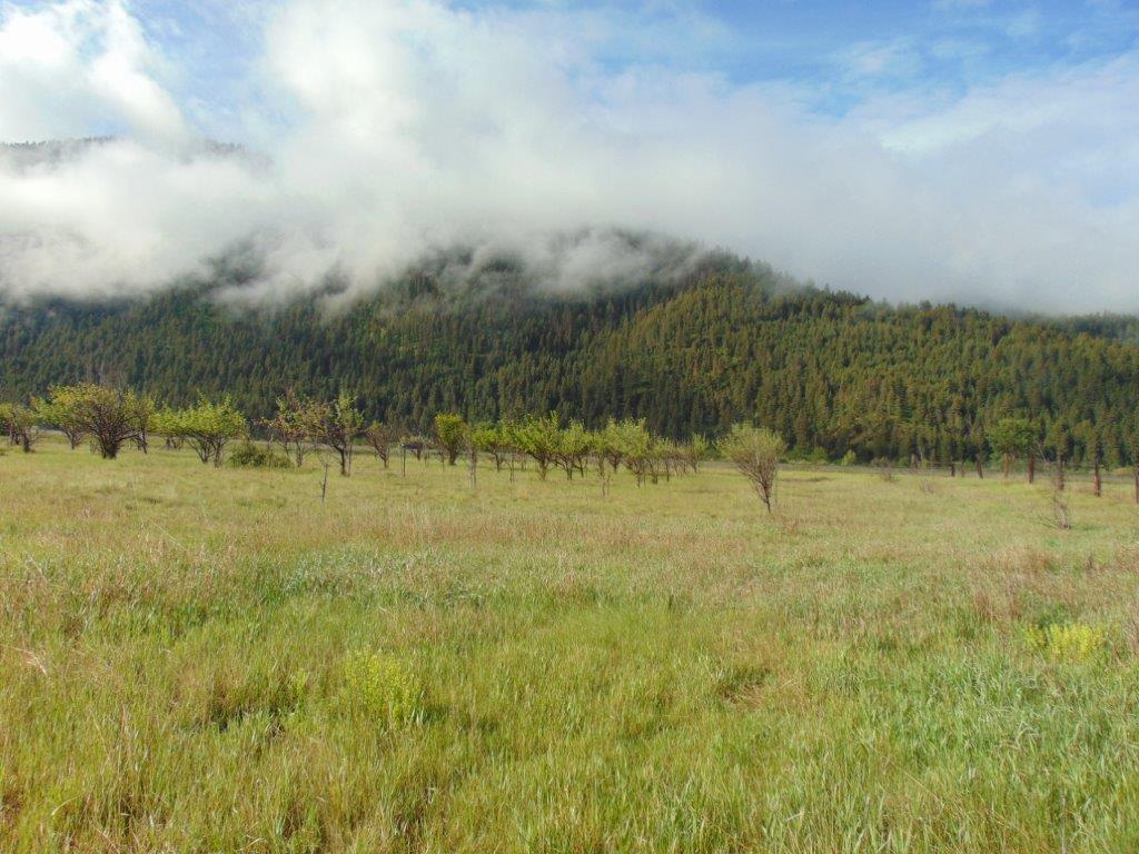 27235 Lazy Springs Road Clinton, MT 59825 - Photo 14 of 94 Gallery Image 14