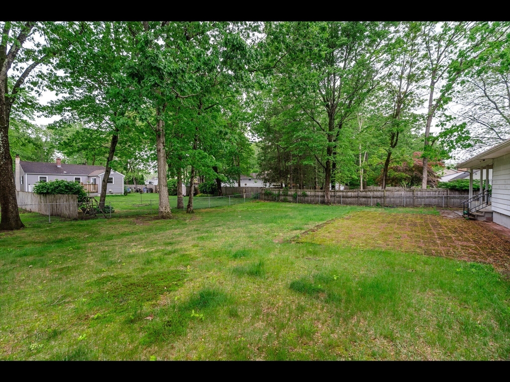 557 Maple Road Longmeadow, MA 01106 - Photo 7 of 31 a view of a park with large trees