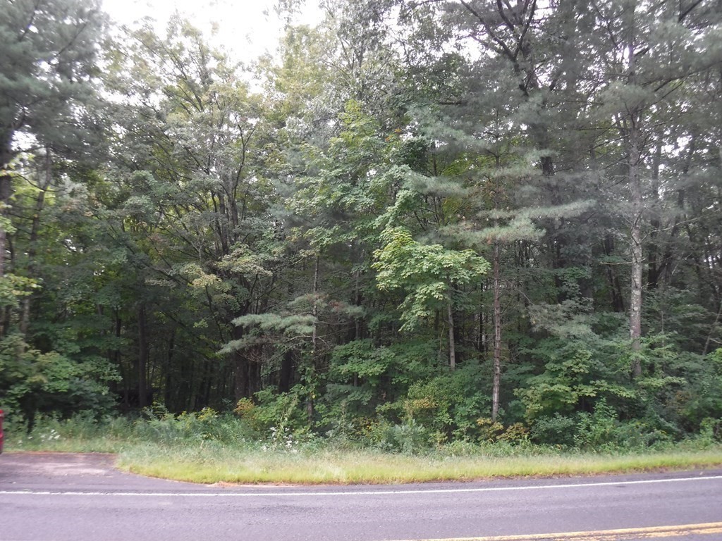 Lot 1 Amherst Road Belchertown, MA 01007 - Photo 1 of 3 Gallery Image 1