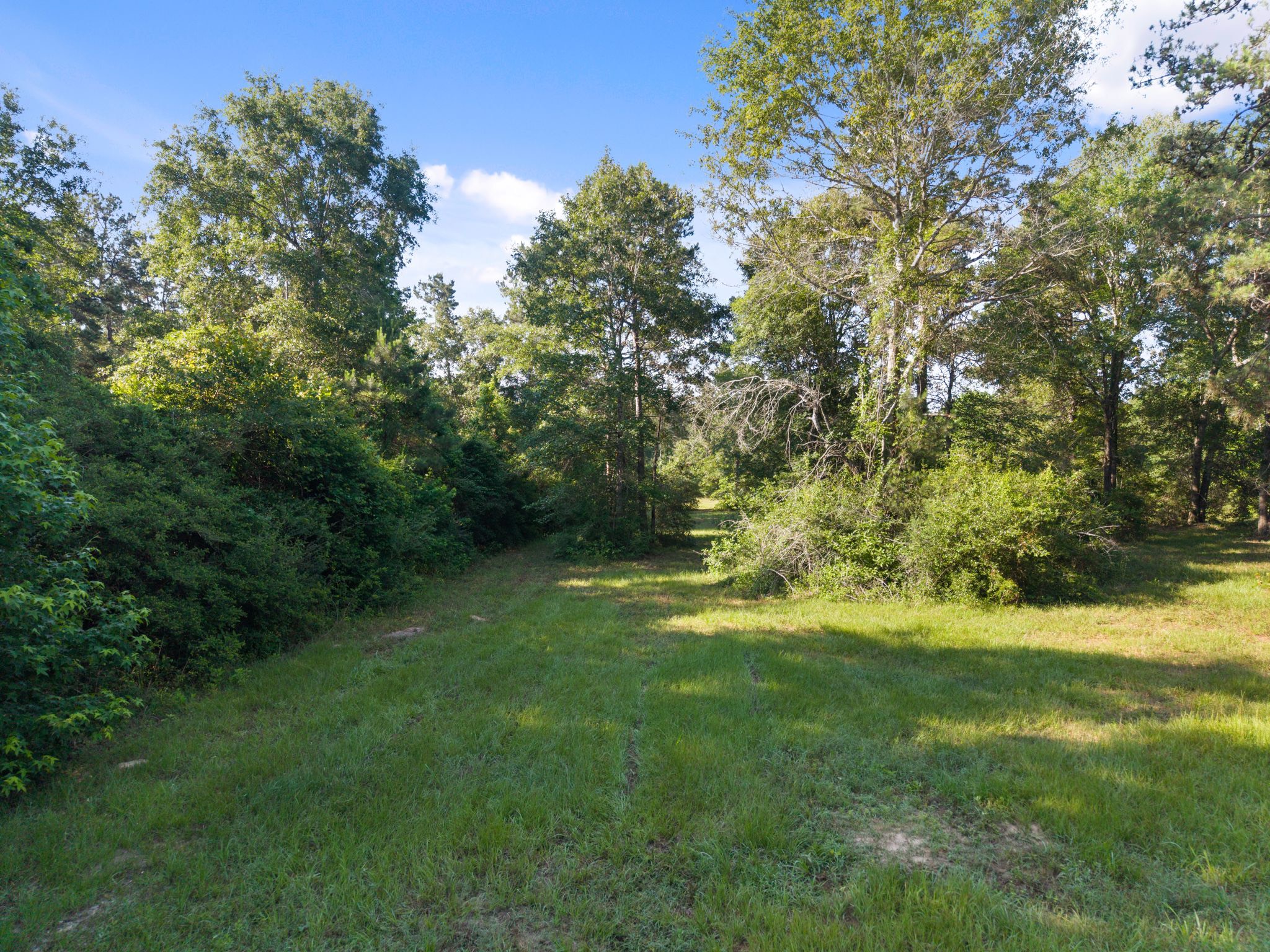 200 Spring Ridge Road Coldspring, TX 77331 - Photo 11 of 18 a view of a trees with a yard