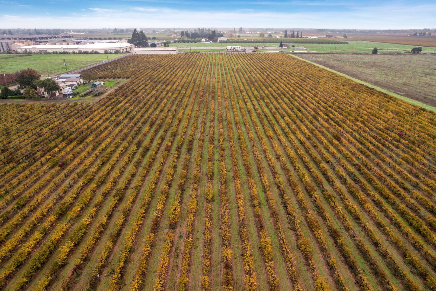 6233 East Woodbridge Road Acampo, CA 95220 - Photo 16 of 16