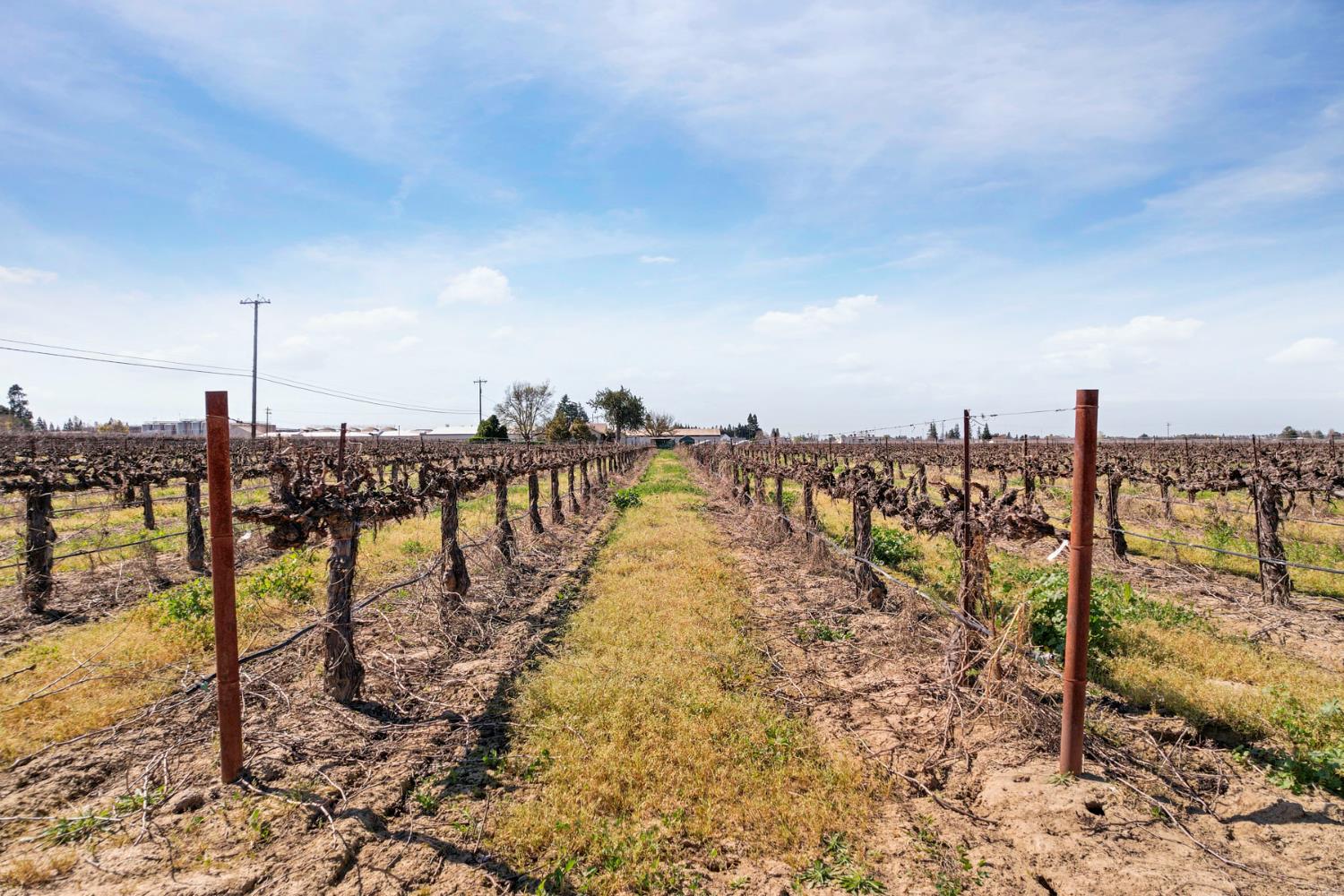 6233 East Woodbridge Road Acampo, CA 95220 - Photo 4 of 16