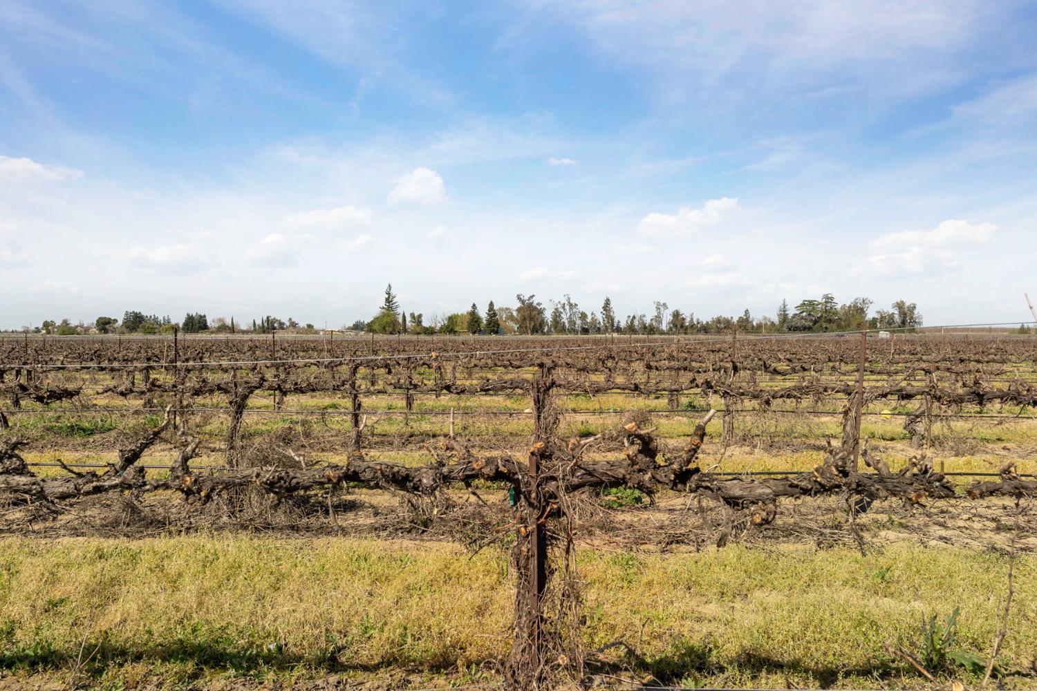 6233 East Woodbridge Road Acampo, CA 95220 - Photo 5 of 16