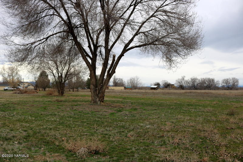 2491 Lateral 1 Road Wapato, WA 98951 - Photo 3 of 26 a view of a field with large trees