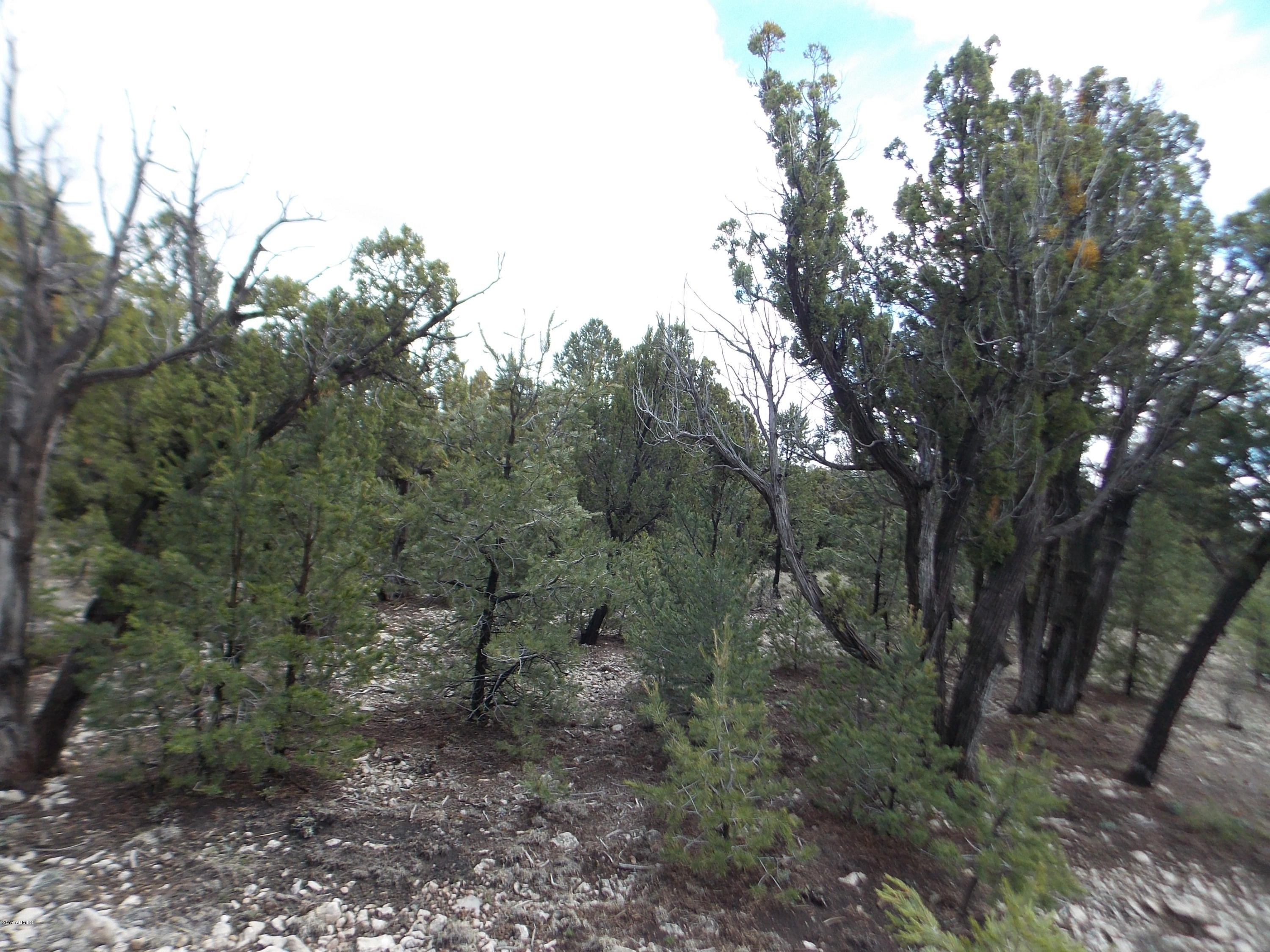 3367 Sawmill Ridge Loop, Unit 88 Heber, AZ 85928 - Photo 3 of 8 DSCN7044