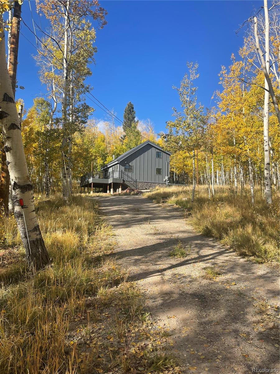 47 Lumberjack Road Fairplay, CO 80440 - Photo 24 of 33 Gallery Image 24