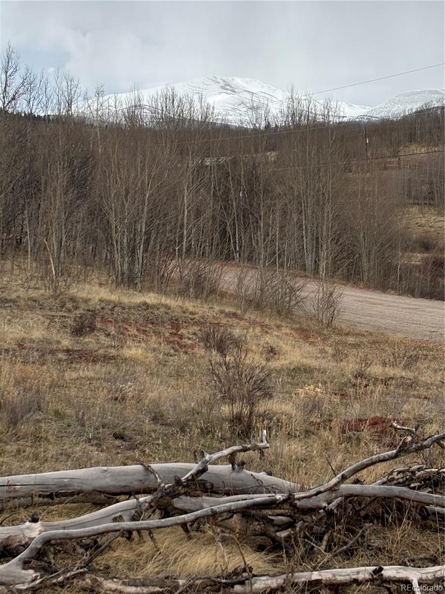 47 Lumberjack Road Fairplay, CO 80440 - Photo 28 of 33 Gallery Image 28