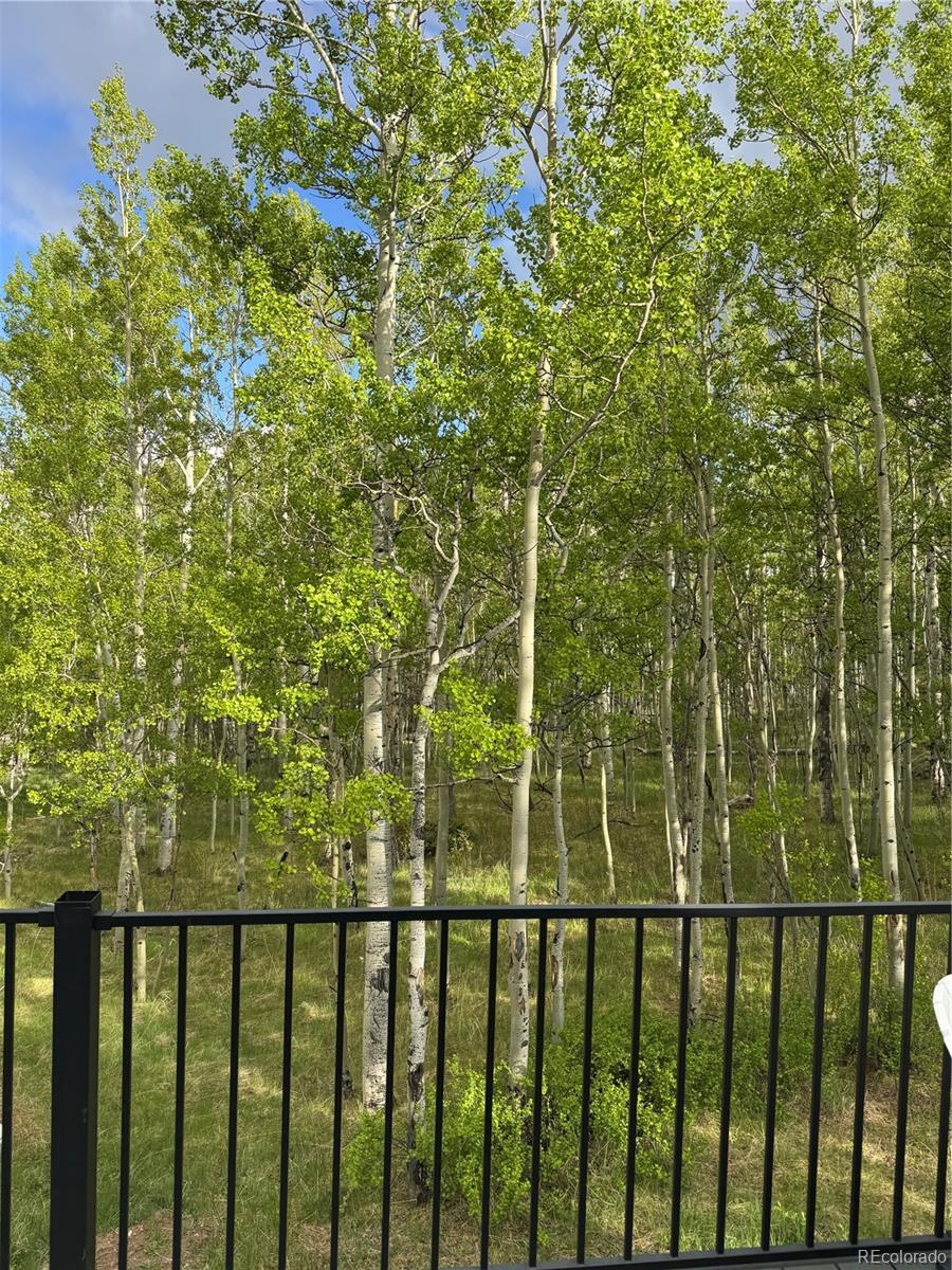 47 Lumberjack Road Fairplay, CO 80440 - Photo 29 of 33 Gallery Image 29