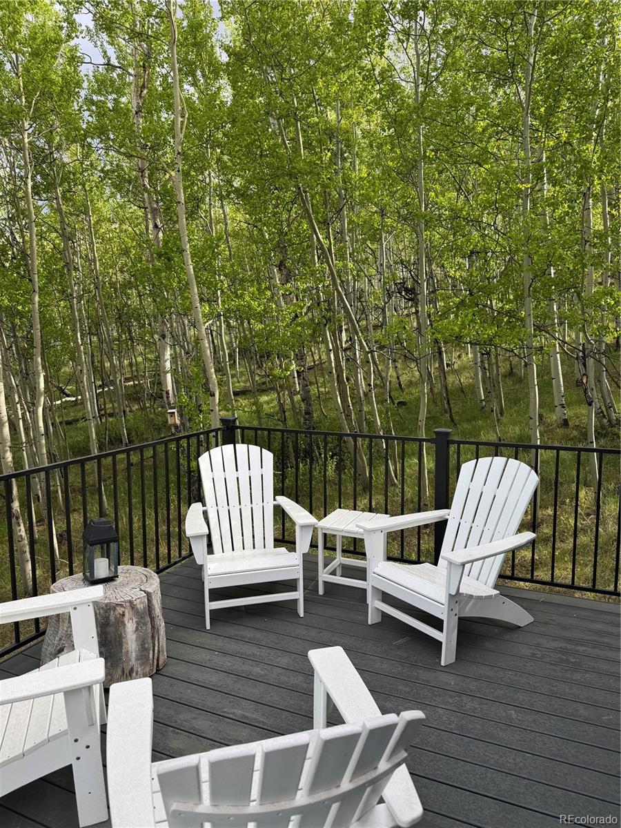 47 Lumberjack Road Fairplay, CO 80440 - Photo 32 of 33 Gallery Image 32