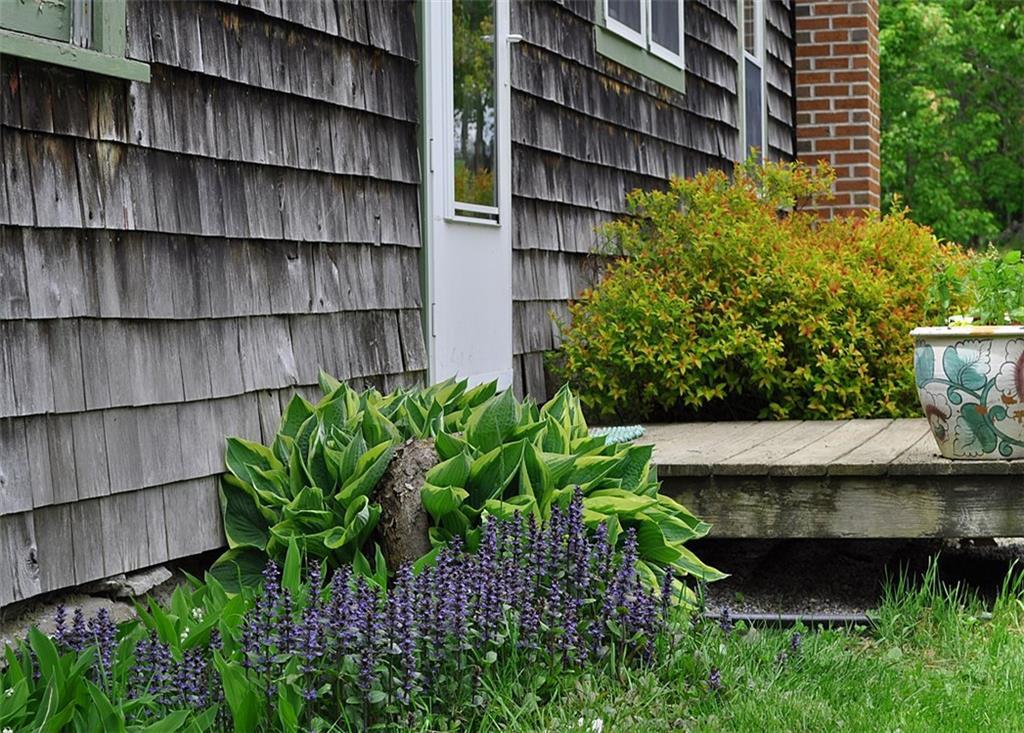 577 Mills Road Whitefield, ME 04353 - Photo 9 of 11 A bounty of mature perennial...