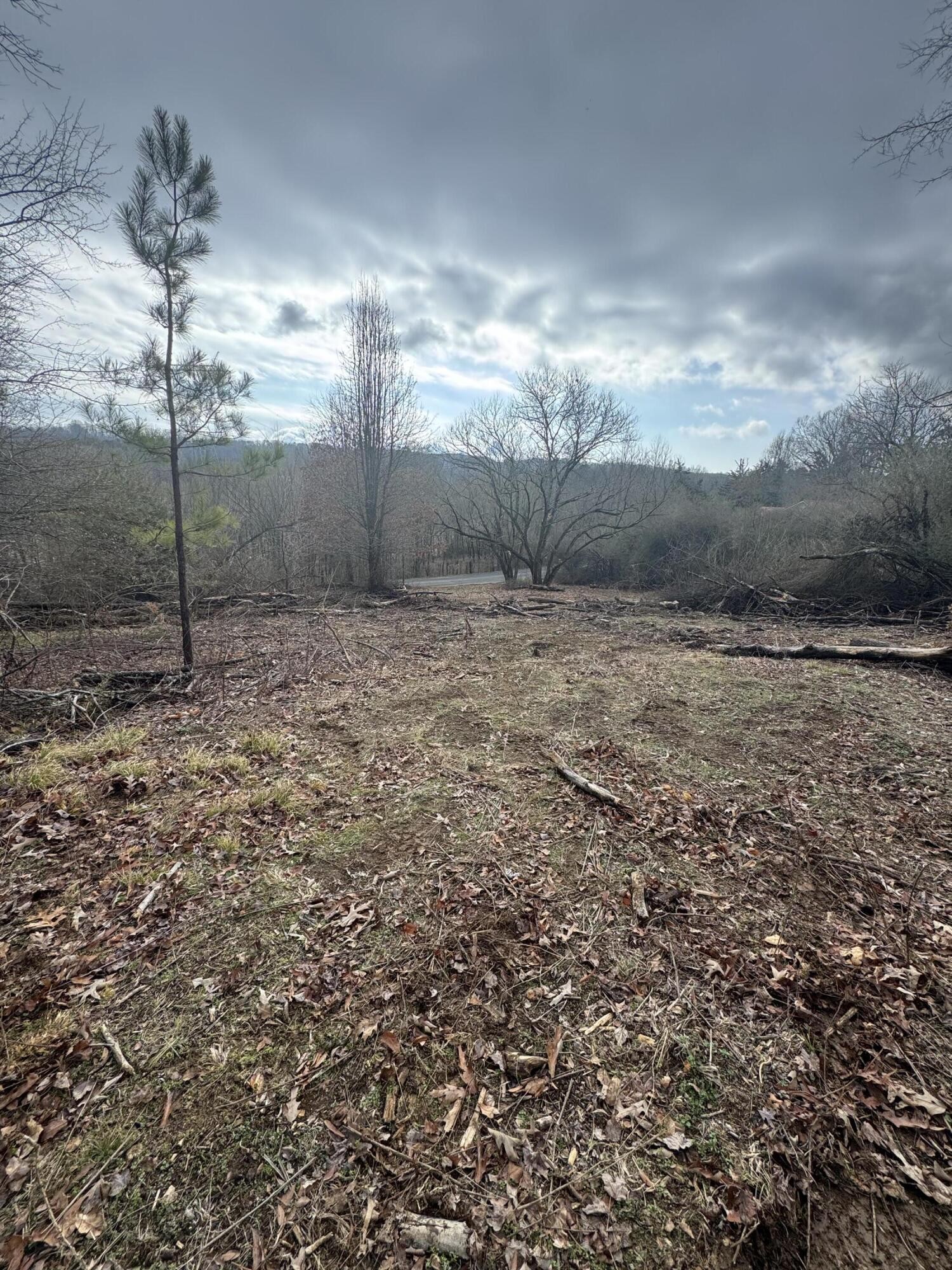 0 Red Clay Park Road Southwest Cleveland, TN 37311 - Photo 2 of 15 Gallery Image 2