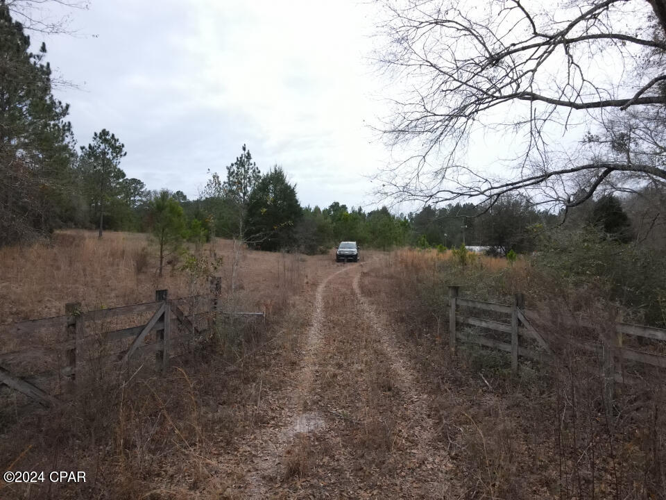 1479 Will Lee Road Bonifay, FL 32425 - Photo 13 of 23 Gallery Image 13