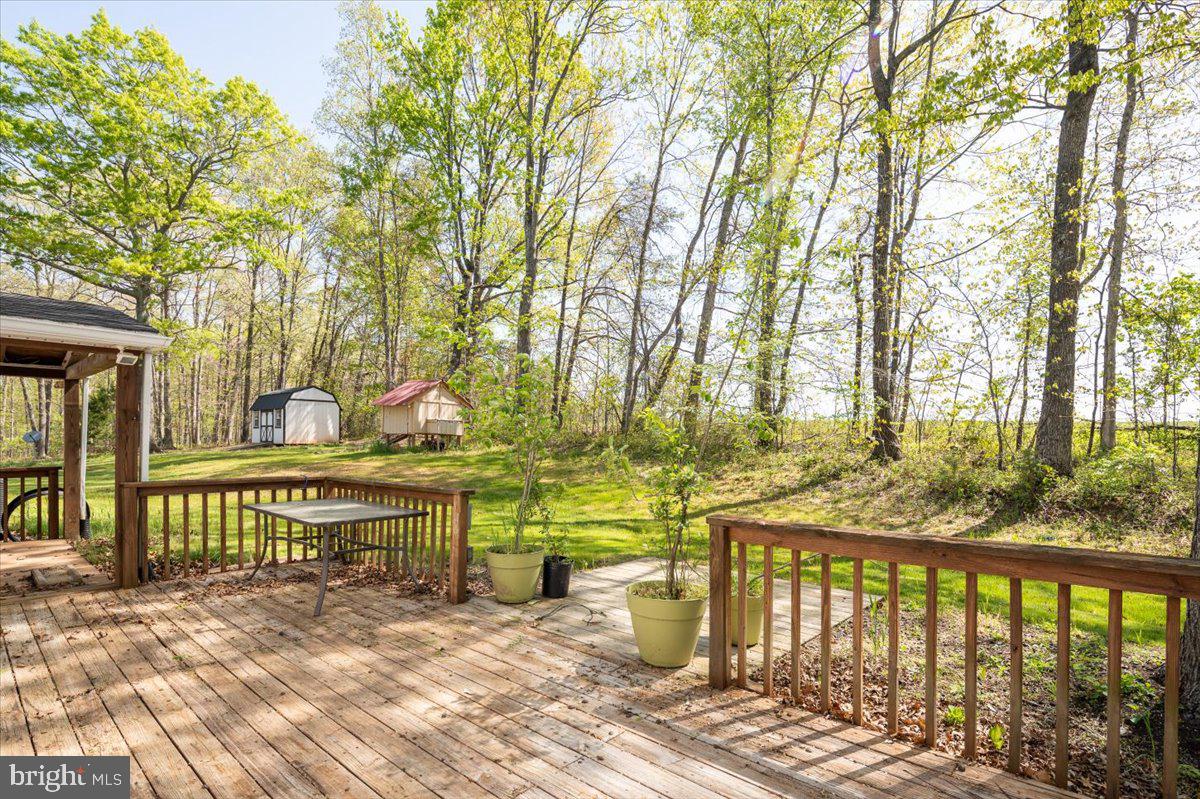 9461 Jamesons Mill Road Culpeper, VA 22701 - Photo 20 of 45